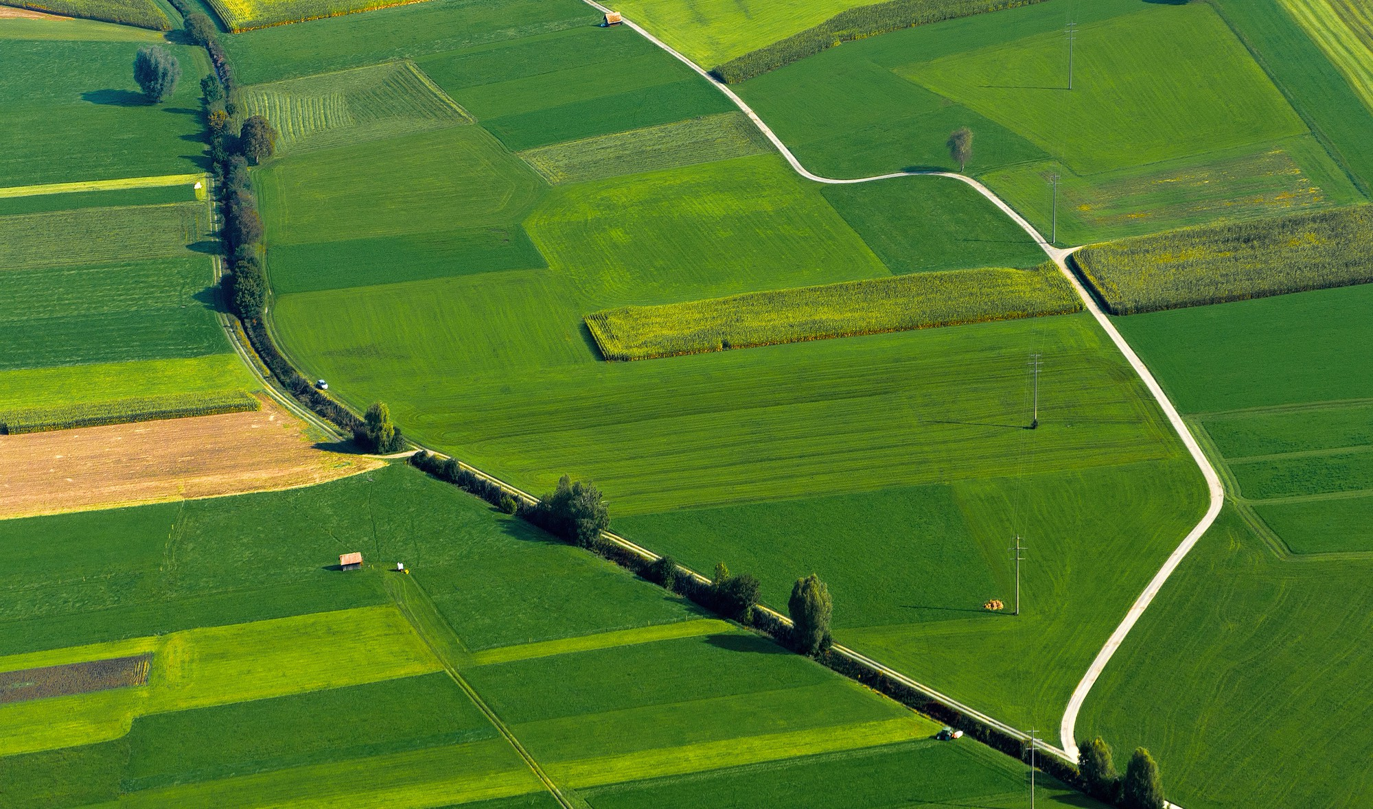 Una imagen de terrenos agrícolas