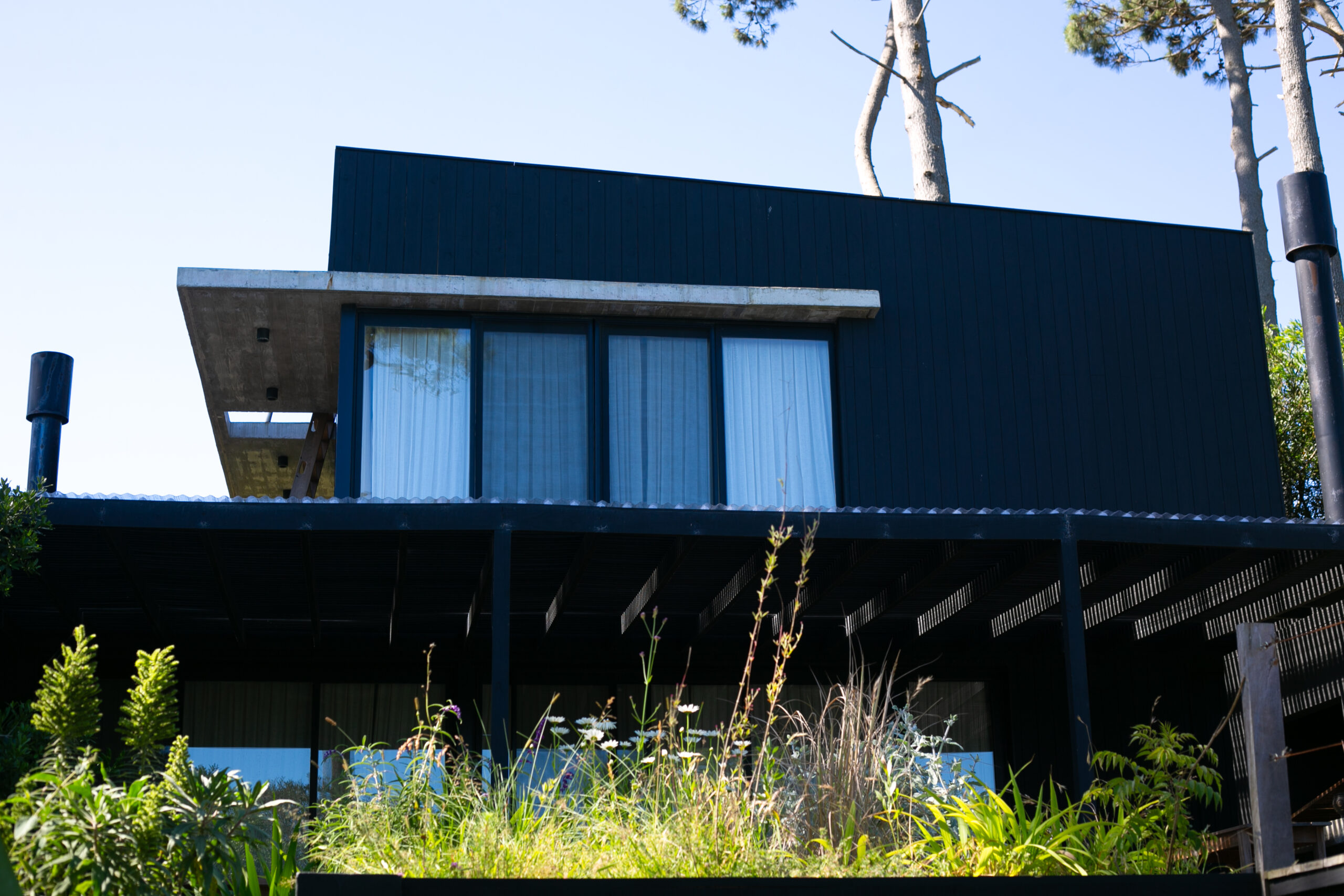 Fachada exterior de Brown, dejando en visto el parrillero refugiado por naturaleza